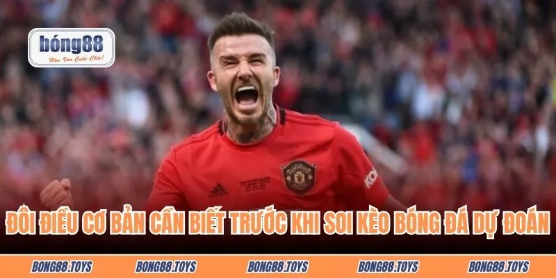 Đôi điều cơ bản cần biết trước khi soi kèo bóng đá dự đoán