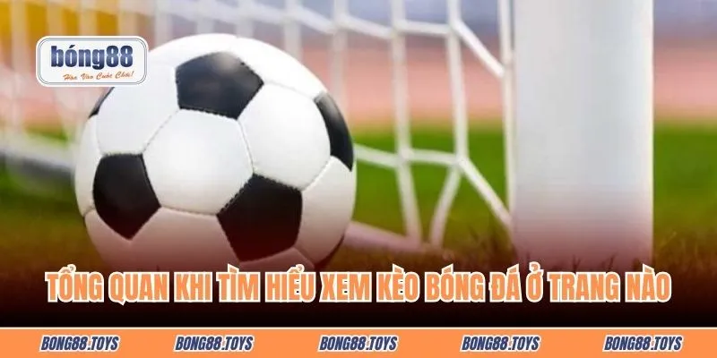 Tổng quan cần biết trước khi tìm hiểu xem kèo bóng đá ở trang nào